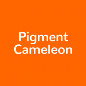 Pigment Cameleon (14)